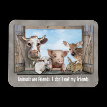Animals are Friends. magnets