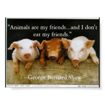 animals are my friends posters by thevegieskank animals are my friends posters