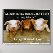 animals are my friends posters