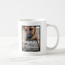 Animals are Sacred mugs