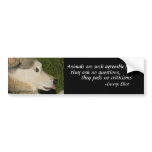 Animals are such agreeable friends,... bumper sti bumper stickers