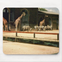 animals at the zoo mousepad