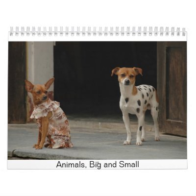 Animals, Big and Small Calendars by umarket