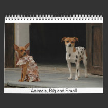 Animals, Big and Small calendars