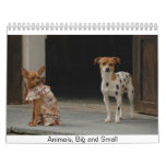 Animals, Big and Small Calendars
