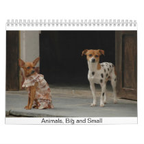 Animals, Big and Small calendars