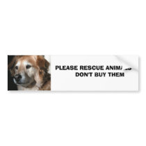 Animals ... bumper stickers by tcamp2006 Animals ... bumper stickers