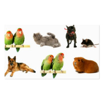 animals business cards
