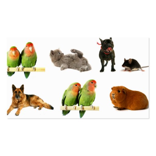 animals business card templates (front side)