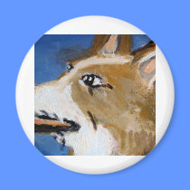 animals by eric ginsburg magnets