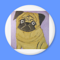 animals by eric ginsburg magnets