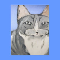 animals by eric ginsburg postcards
