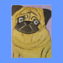 animals by eric ginsburg postcards