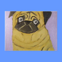 animals by eric ginsburg postcards