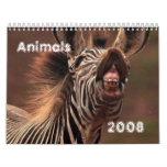 Animals Calander for 2008 Calendar
