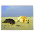 Animals - Calendar 2008 by Rainmountain Animals - Calendar 2008
