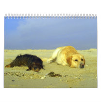 Animals - Calendar 2008