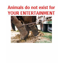Animals do not exist for YOUR ENTERTAINMENT t-shirts