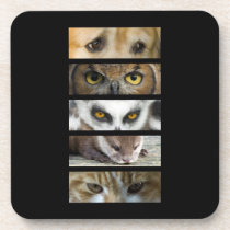 Animals Eyes Beverage Coasters