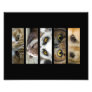 Animals Eyes Landscape