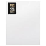 Animals Eyes Letterhead Template