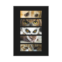 Animals Eyes Stretched Canvas Print