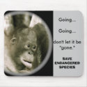Animals Going, Going, Gone mousepads by Rebecca_Reeder Animals Going, Going, Gone mousepads