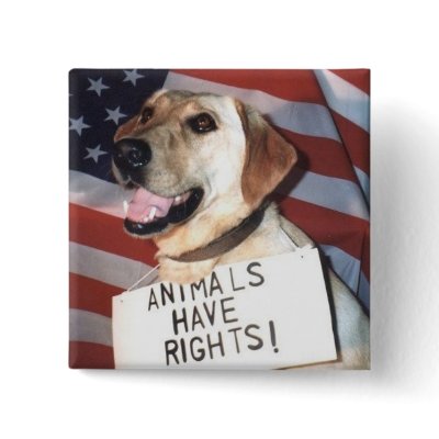 Animals Have Rights button