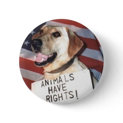 Animals Have Rights button