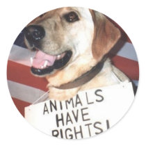 Animals Have Rights stickers