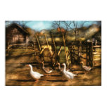Animals - I love Geeses to Pieces Poster