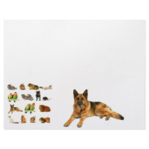 animals letterhead