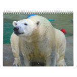 Animals of Brookfield Zoo Calendar