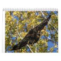 Animals of the Wild Calendars