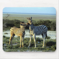 Animals Of the wild Zebra's mousepads
