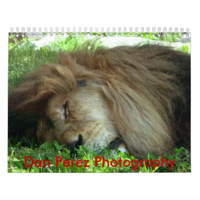 Animals of the World Wall Calendar by DPerez725