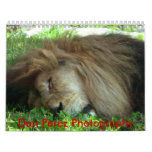 Animals of the World Wall Calendar