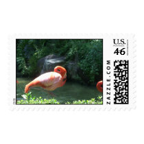 Animals stamps