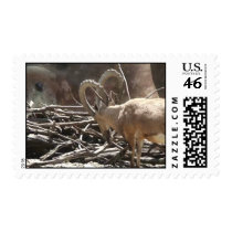 Animals postage
