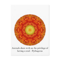 Animals share with us the privilege of having..... post card