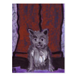 (Animals small dog big feet) Postcard
