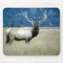 Animals Wild 1 mousepads by mickeyelvis128 Animals Wild 1 mousepads