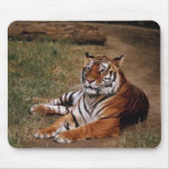 Animals Wild 1 Mouse Mat