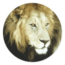 Animals Wild 1 stickers