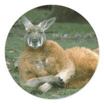 Animals Wild 1 stickers