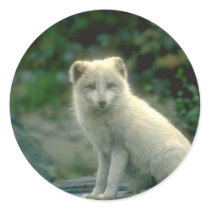 Animals Wild 1 stickers