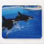 Animals Wild Dolphins Mouse Mat
