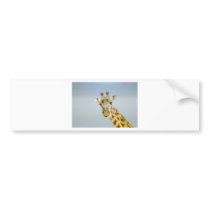 Animania bumper stickers