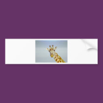Animania bumper stickers