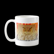 Animania mugs